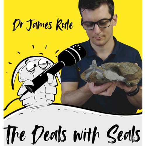 The deals with seals