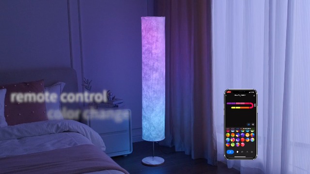 LONRISWAY RGB Color Changing Led Floor Lamp, Smart Lamp with Alexa
