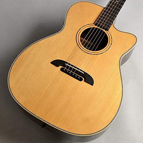 ヤイリ アコースティックギター YAIRI WY-1 tp264-0125988_m.jpg