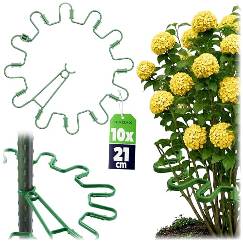 KADAX Staudenhalter Rund Ø 21 cm im 10er Set Pflanzenhalter aus Kunststoff Pflanzenstütze Staudenstütze für Hortensien & Pfingstrosen Hortensienhalter Pflanzring (Grün)