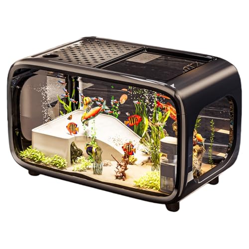 XPPX���^�����Z�b�g �t�[�h�t�� �A�N���� ���_�J �x�^ ���� �e�g�� ����Z�b�g �É��t�B���^�[ ��� ���r���O �Q�� �C���e���A �A�N�A���E�� ��������Z�b�g�B (�u���b�N,�f���b�N�X���f��)