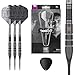 Target Darts Nathan Aspinall x ECHO 90% Tungsten Steel Tip Swiss Point Dart Set – 24G ASP Player Edition Darts, Pro Grip Shafts & Pro Ultra No.2 Flights, SP Tool Included