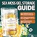 TrueSeaMoss Sea Moss Gel – Made in USA – Wildcrafted Seamoss, Fruits & Jarred Vegetables – Mango/Pineapple, Pack of 1 (Labels may Vary)