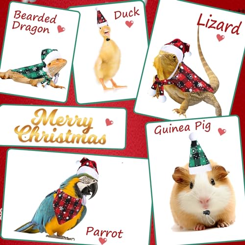 Disfraz Navideño Para Dragón Barbudo Pequeño miniatura 5