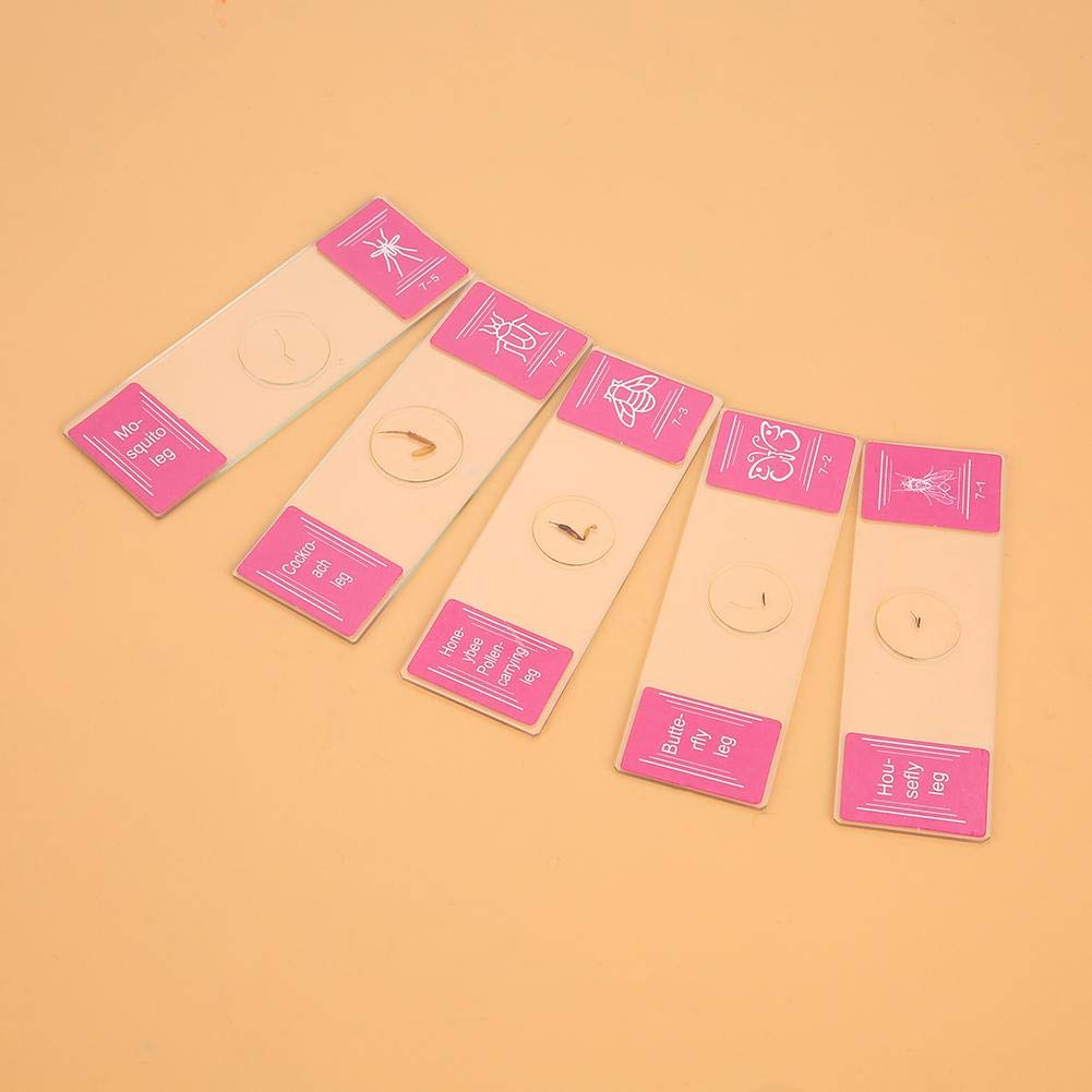 HANABASS Dés Vierge en Mousse Effaçables 6 Pièces 2.36In Cubes Réutilisables pour Jeux De Société Bricolage Et Activités Éducatives en Famille Surface Lisse Personnalisable