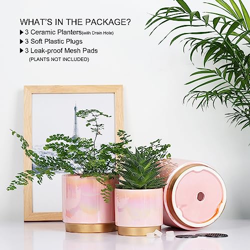 Gepege Pink Indoor Plant Pots for Plants, Ceramic Planter with Drainage Hole, 6.0 inch+5.0 Inch+4.0 Inch. Succulent Orchid Flower Pot - Rainbow Pearl Glaze - Thumbnail 4