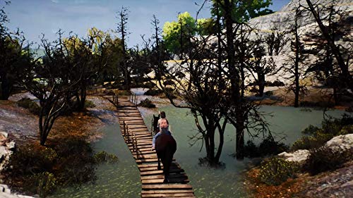 Whisper : Ari La Cavalière Intrépide Switch - vue 5