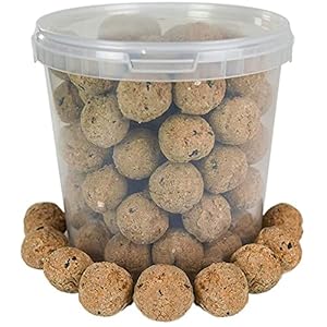 BusyBeaks Suet Fat Balls | Premium Garden Wild Bird Food | Enhanced Year-Round Formula | Naturally Blended High in…