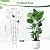 2 Pack 30 Inch Taller Plant Trellis for Potted Climbing Plants Indoor,Expandable Metal Garden Trellis for Climbing Plants,Flowers Vine Ivy, Sturdy Houseplant Support for Potted Plants with Ties
