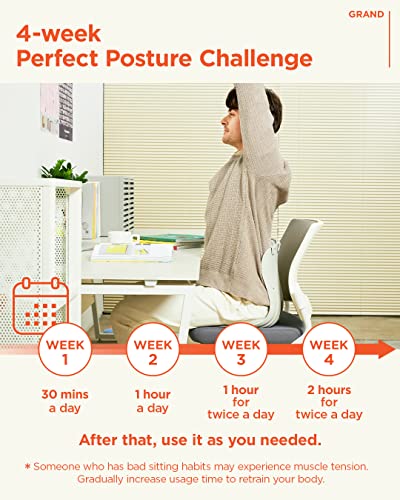 Curble Chair [Adult] Ergonomic Chair Back Support, Lumbar Support For Good Posture Correction And Back Pain Relief, Perfect For Office Chair, Floor Seat, And Work From Home, Patented (Grey) #TOP5