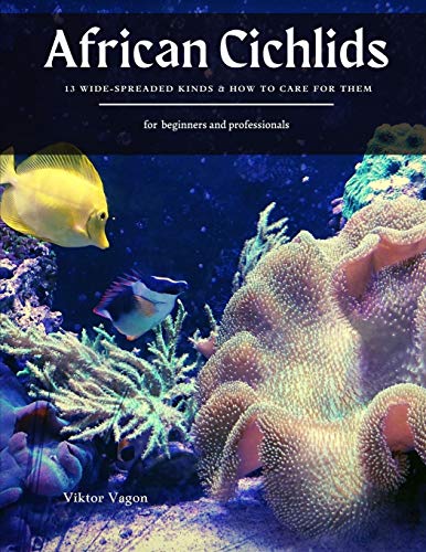 African Cichlids: 13 Wide-spreaded Kinds & How to Care for Them
