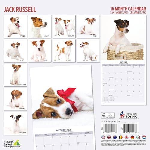Jack Russell 2025 Modern Calendar, Various - Image 2