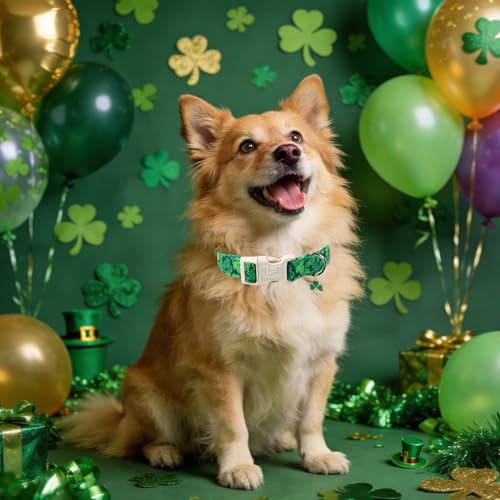 Image of St. Patrick's Day Dog Collar, UP URARA PUP Shamrock Adjustable Pet Collar with Quick Release, St. Patrick's Day Dog Accessories for Small Medium Large Dogs