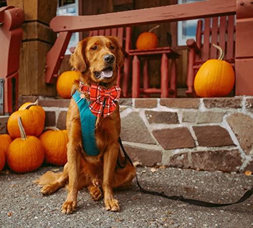 Image of DOGWONG Fall Dog Collar with Sailor Bow tie, Orange Plaid Dog Collar Soft Durable Adjustable Cotton Dog Collar for Small Medium Large Dog