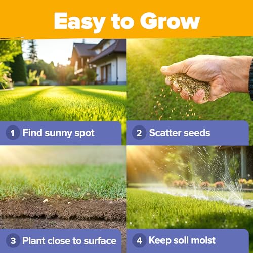 Image of HOME GROWN USA Wildflower Seeds Bulk Mix | 44,000 Non-GMO Perennial Flower Seed for Full Sun & Shade | 19 Varieties for Butterfly & Pollinator Garden | 2 oz