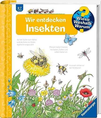 Wieso? Weshalb? Warum? Band 39 - Wir entdecken Insekten (Sachbuch ab 4 Jahre - mit Klappen) (Kernreihe 39)