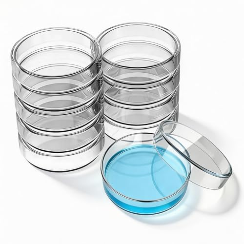 Boîte de Pétri en verre pour expériences scientifiques en école et laboratoire de biologie