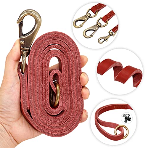 Leather Dog Leash Close Up