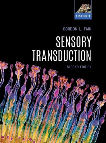 Sensory Transduction view 2