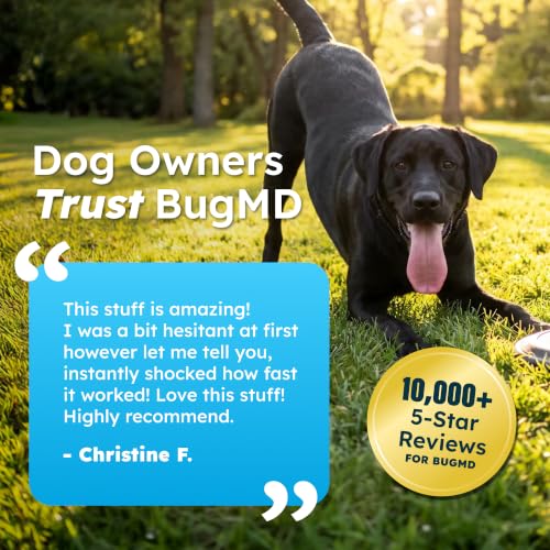 Image of BugMD Flea and Tick Spray for Dogs - Kills & Repels on Contact | Plant-Powered Treatment for Home, Furniture and Carpet - Makes 32 oz | Starter Kit