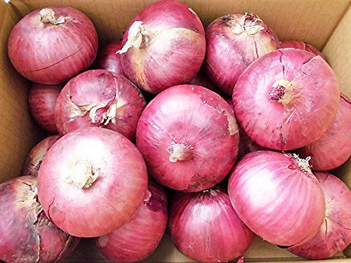 Amazon.co.jp: 北海道産紫玉ねぎ（L～L大）10kg (赤たまねぎ) 【発送