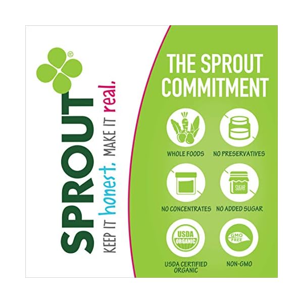Sprout Organic Baby Food, Stage 2 Pouches, Fruit Veggie & Grain Blend, Mixed Berry Oatmeal, 3.5 Oz Purees (Pack of 6)