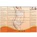 Slimming Patches, Parches Adelgazantes Slim Patch, Slim Patch, Bajar de Peso, Anti...