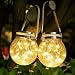 Diealles Shine Lámparas Solares Exterior Decorativas, 2 Pack 30 LED Luz Solar Jardín, IP65 Impermeable Solar Mason Jar para Navidad Decoración, Lámparas Solares para Jardín Colgar