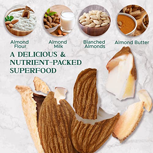 Dry Roasted Almonds Unsalted 48 Oz (3 Lbs) Batch Tested Gluten & Peanut Free | No Oil | Whole | No Ppo | Non-Gmo | No Herbicide | Healthy Protein Boost | Premium Quality | Try The Difference!! #TOP4