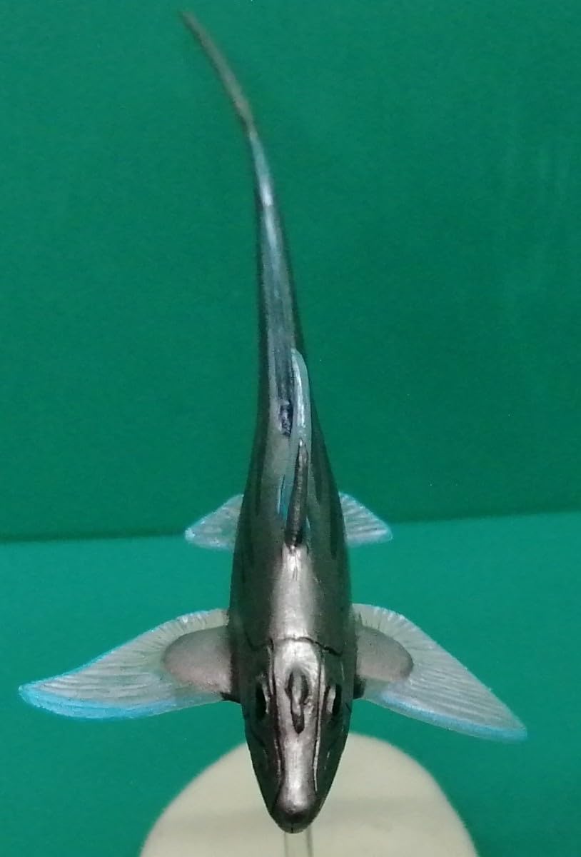 Amazon | ギンザメ 銀鮫 Rat fish 深海魚 フィギュア | フィギュア