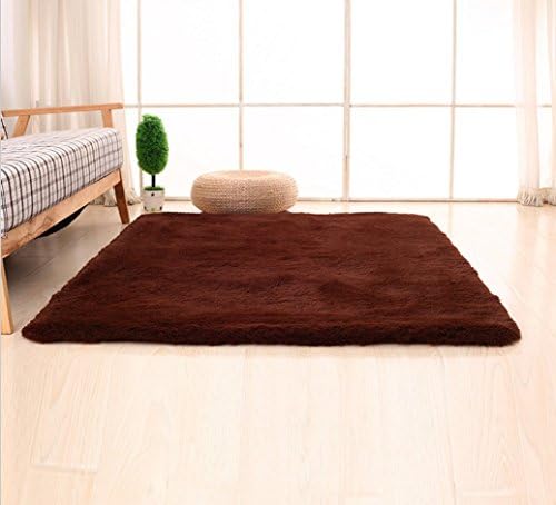 Bnxbb Ultra Soft 4Cm Thick Indoor Fluffy Thick Indoor Area Rug for Home Decor Living Room Bedroom Kitchen Dormitory Rectangle,Size:24 x 47 Inch (60Cm X 120Cm) Brown