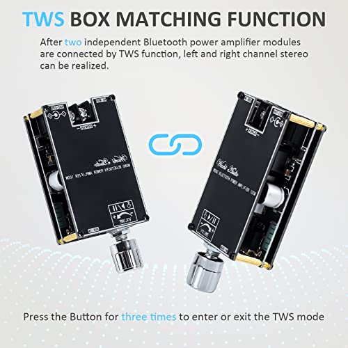 Amplifier Board, PEMENOL TWS DC 7