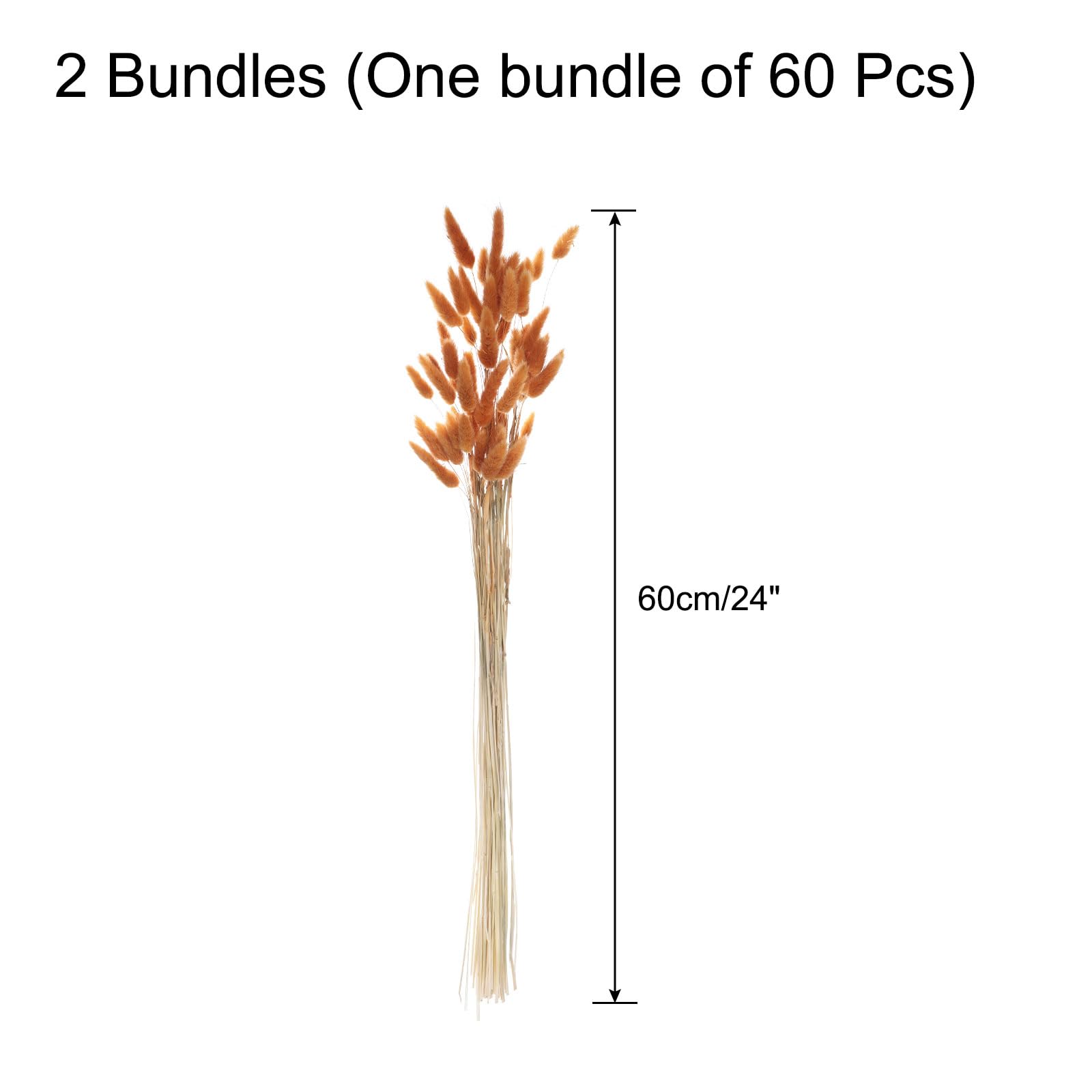QUARKZMAN 120pz Fiori Secchi con Code di Coniglio Naturali 24" Mini Mazzo di Erba di Pampa Lagurus Ovatus per Decorazioni Floreali Matrimonio Natale, Arancione Scuro