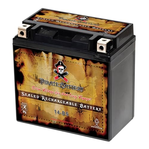 Weize YTX14-BS AGM Battery