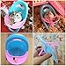 SquEqu 4 Pack Hamster Booster Seat Feeding Seat with Tray Guinea Pig Dining Chair Table Tray for Hamster Cage Small Animal Pet Habitat Decor Mice Rat Rodents Hamsters Gerbils