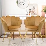 Czlolo Accent Chairs Set of 2 for Living Room, Velvet Upholstered Makeup Room Vanity Chair with Back, Golden Metal Legs Small Accent Side Chair for Bedroom, Cloud Chair Set, 2 Pcs Brown