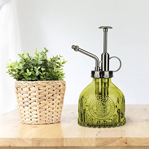 KoGiio Spuitfles voor planten, glas, 200 ml, retro reliëf, plantensproeier met pomp, geavanceerde bloemenverstuiver, drukspuit voor balkon, kleine tuinplanten, binnen, huis of kantoor, groen - Afbeelding 6