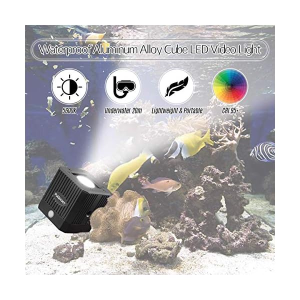Dazzne Dimmbare Cob-Video-Licht, wasserdicht, 20 m, für DSLR, Digitalkameras, Camcorder und Action-Kameras, schwarz – Bild 4