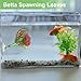 CAPASTEC Betta Fish Leaf, Natural Habitat Simulation for Betta Spawnings Grounds, Betta Spawnings Leaves, Resting Bed, Large Small Leaves, Red Green