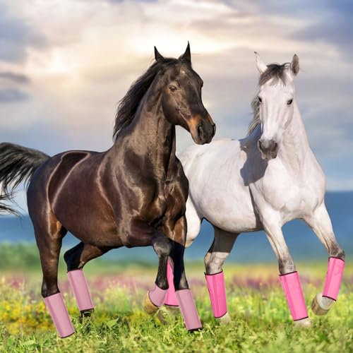Image of Jexine 12 Fly Boots for Horse Set of 12 Loose Breathable Mesh Horse Fly Sheets Protective Horse Leg Wraps Leggings for Preventing Flies and Mosquitoes Bites (Purple, Red, Pink)