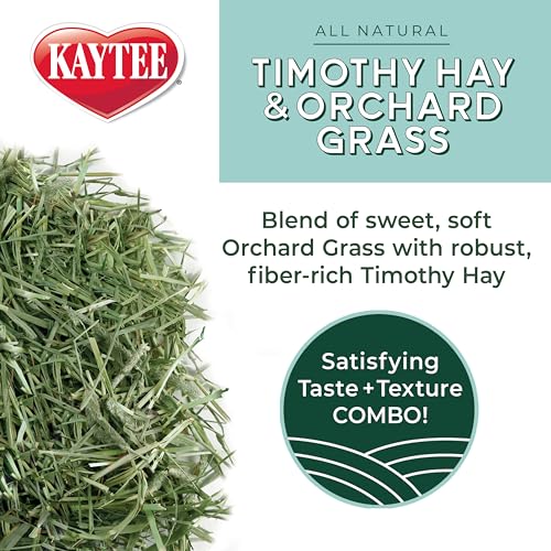 Kaytee Timothy Hay & Orchard Grass for Guinea Pigs, Rabbits & Other Small Animals, 48 oz - Image 6