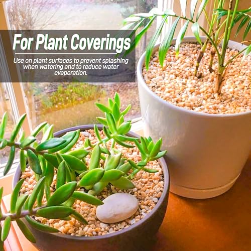 Image of 45lb Cactus Pea Gravel Rocks,1 /5 Inch Pebbles for Indoor Plants, Natural Succulent Rock and River Rocks Decorative for Aquariums, Vases, Terrarium, Outdoor Gardening, Top Dressing for Potted Plants