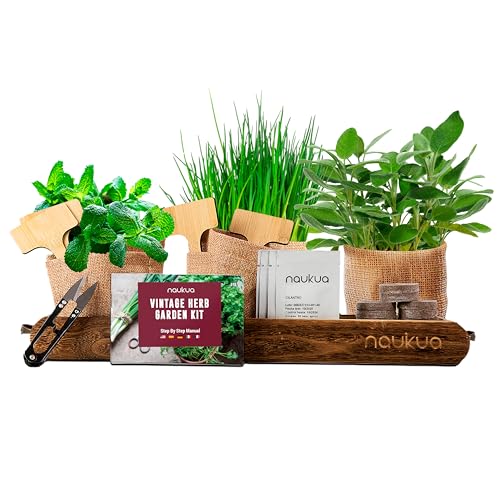 Kit Cultivo Vintage de Hierbas Aromaticas y Culinarias (Cebollino, Orégano, Menta y Salvia) - Semillas 100% Orgánicas de España - Kit Completo para Cultivar Tu Mini Huerto Urbano En Casa