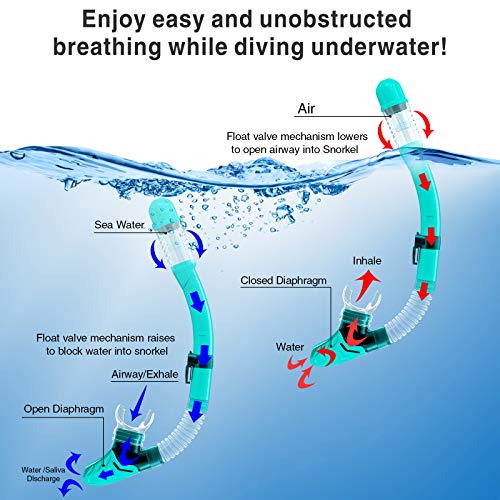Snorkel Set Adult,Snorkeling Set with Panoramic Snorkel Mask Diving Goggles,Dry Top Snorkel and Adjustable Fins,Scuba Diving Snorkeling Mask for Men Women