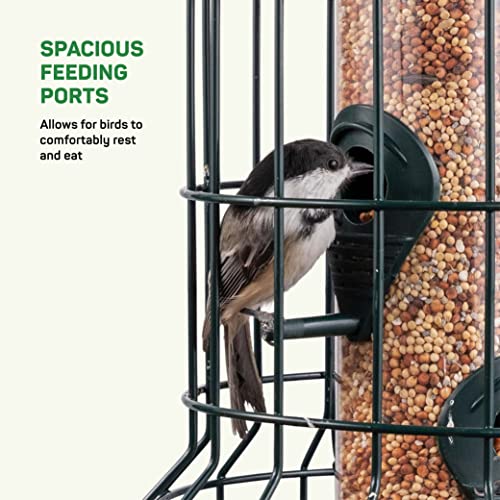 Sewanta SW-440-FBA Squirrel Resistant Bird Feeders 22 Oz. Bird Feeder thumb #4