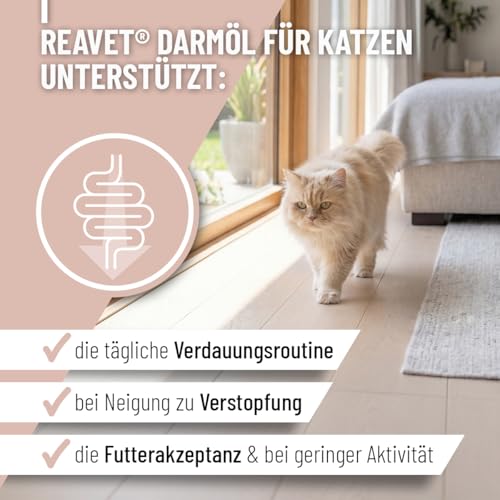 ReaVET Darmöl für Katzen 50ml I Verdauung, Darmflora I Sekundierend bei Verstopfung und Verdauungsproblemen, kein Remedium und Laxans