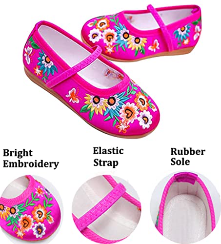 IDOTTA Girls Costume Shoes For Cosplay Embroidery Mary-Jane Flats Shoes2