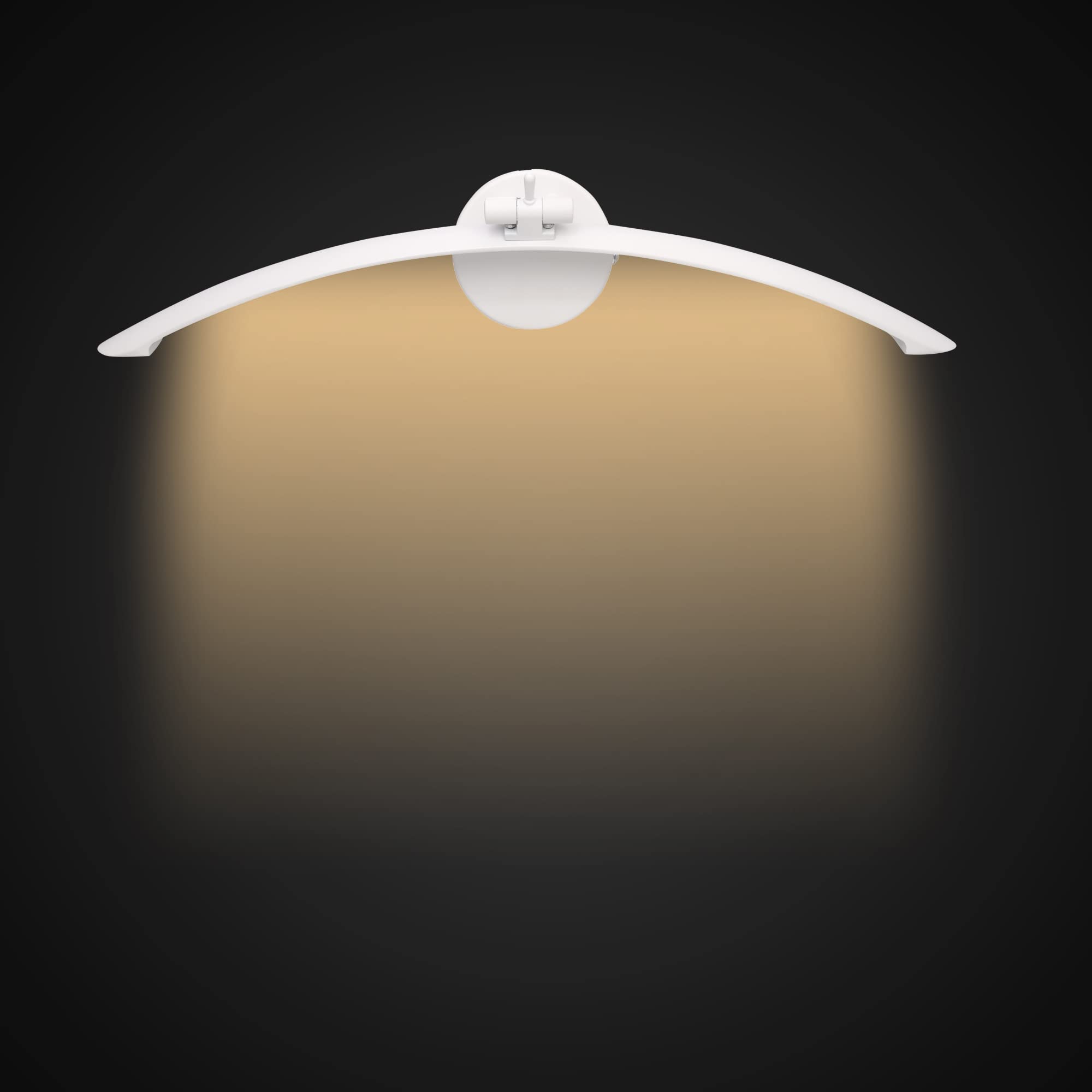 TRIPPING 06 Watt Warm White LED Wall Lamp - Adjustable, Flexible Neck, Curved Shape, Spot Focus Light for Pictures, Mirrors, Washbasins, and Dressing Tables (Pack of 1, 34cm Length, 15cm Thickness) (B09GYL8H6W) Amazon Price History, Amazon Price Tracker