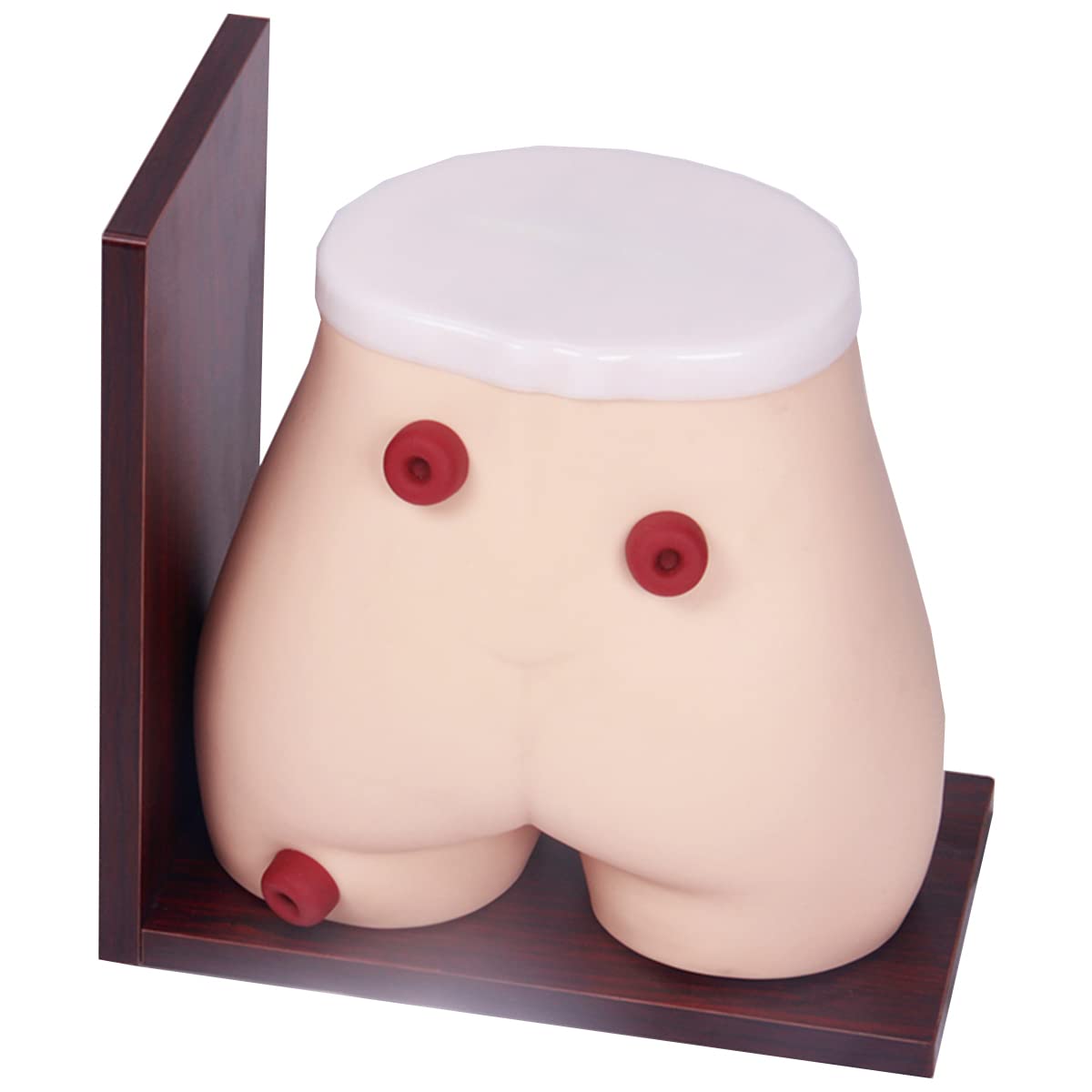 Sjdopulse Life Size Colostomy Ileostomy Model, Advanced Fistula Ostomy Nursing Model, Manikin Teaching Practice Model For Teaching Demonstration Study