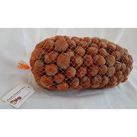 Haselnüsse Premium XL - Aus Deutschland! - Nüsse in der Schale - 3Kg Cover